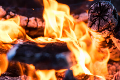 A Comprehensive Guide to South Africa's Premium Smokeless Models